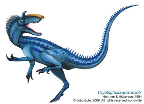 Cryolophosaurus Ellioti By Sputatrix On Deviantart