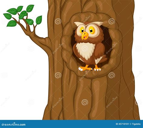 Cartoon Owl In Tree Stock Vector Image