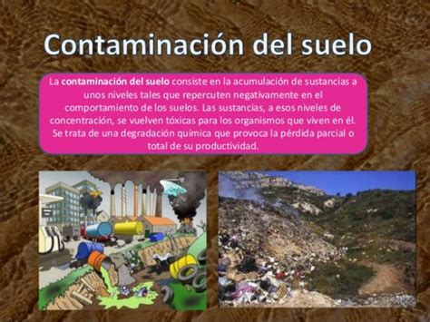 Contaminacion Del Suelo Causas Consecuencias Y Soluciones Images 0