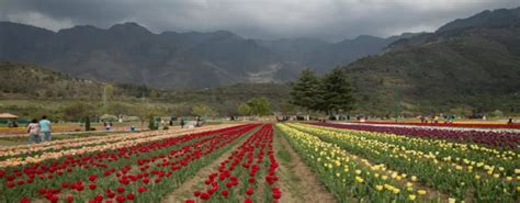 Spring in India - Climate, Nature, and Best Destinations - IndiaPost ...