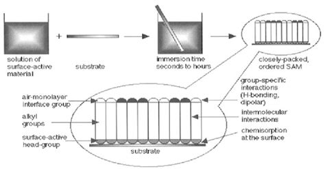 Figure 1 From Self Assembled Monolayers A Review Semantic Scholar