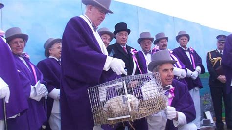 Wiarton Willie Groundhog - What Wiarton Willie sees - Canada - CBC News ...