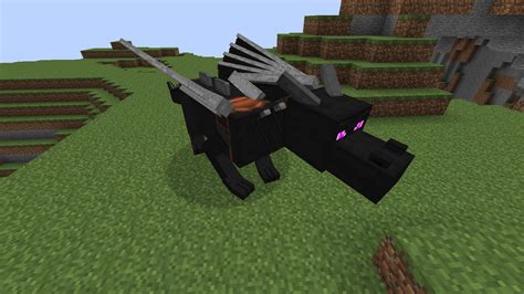 How to Tame an Ender Dragon in Minecraft Without Mods - What Box Game