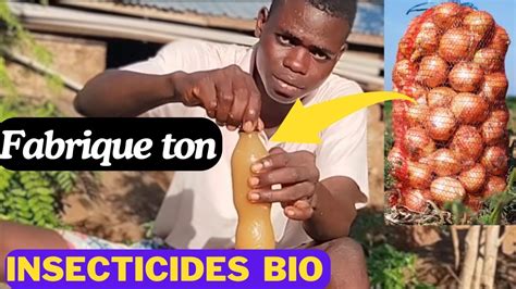 Comment Fabriquer Un Insecticide Biologique Et Naturel Gr Ce L Oignon