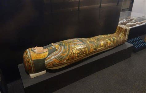 Half Day Tour Visit Luxor Museum And Mummification Museum Egypt Trippers