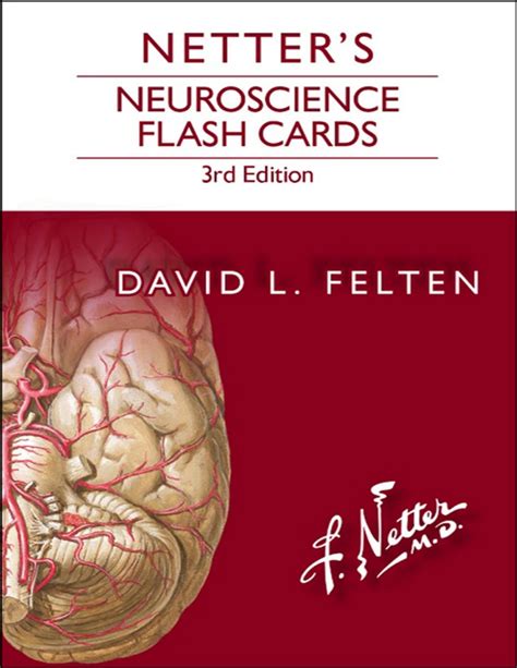 Solution Netters Neuroscience Flash Cards Rd Edition Studypool