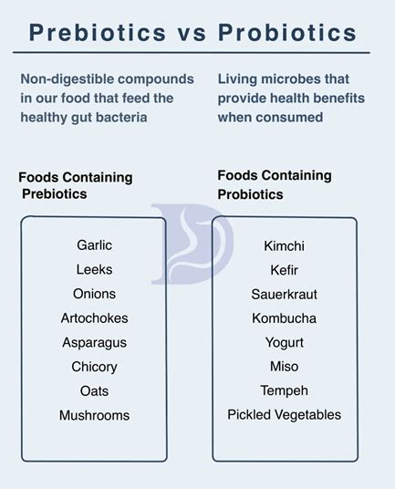 Probiotics Digestive And Liver Health Specialists