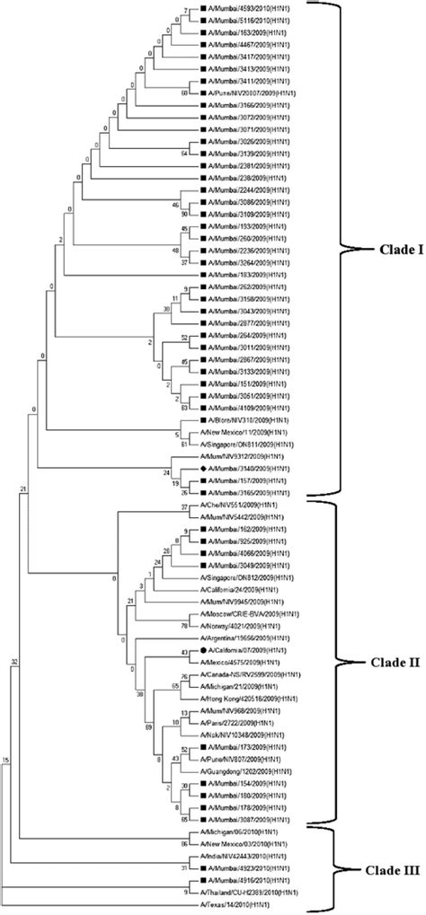 Phylogenetic Analysis Of The Ha Gene Segments Of Influenza A H N Pdm