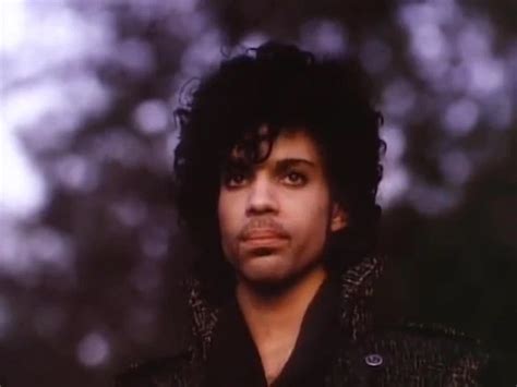 The Revolution American Porn Xhamster