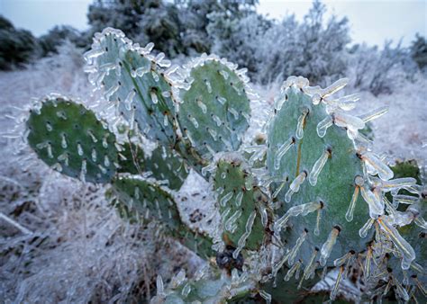 Lessons From The Texas Big Freeze