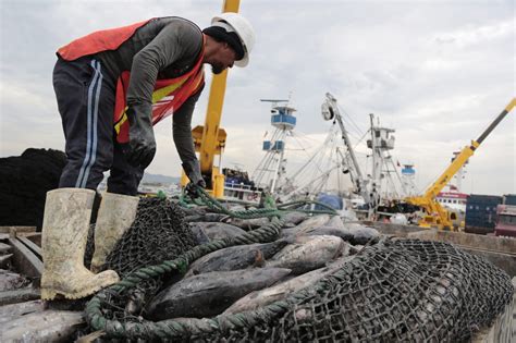 Ecuador Export Pescado Por Valor De Millones De D Lares En El