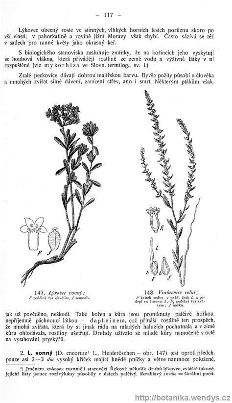Názorná květena zemí koruny české svazek 4 strana 117