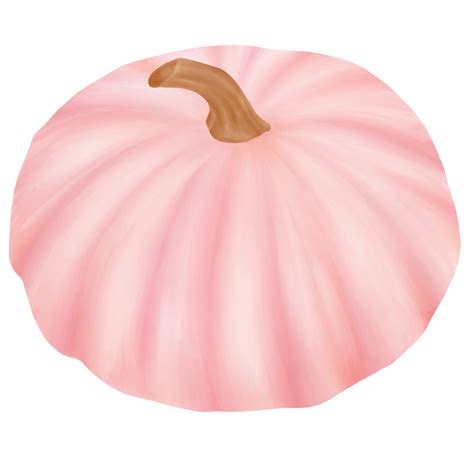 Pink Pumpkin Watercolor 10260450 PNG