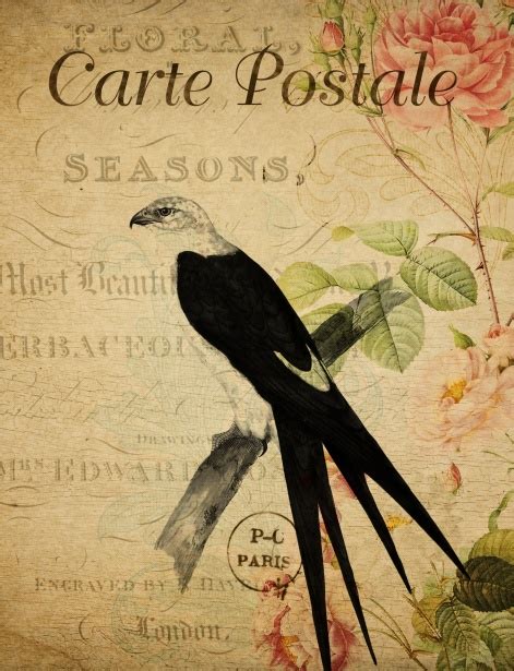 Bird Vintage Floral Postcard Free Stock Photo Public Domain Pictures