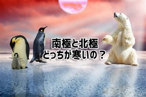 北極と南極、どっちの方が寒いの？ 2022年6月9日 エキサイトニュース