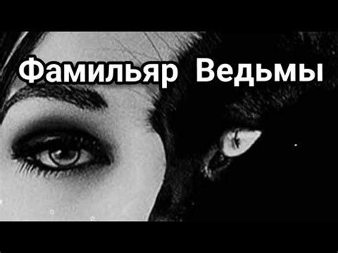 Фамильяр #эзотерика - YouTube