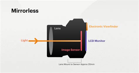 Dslr Vs Mirrorless Which Is Best For Professional Photography