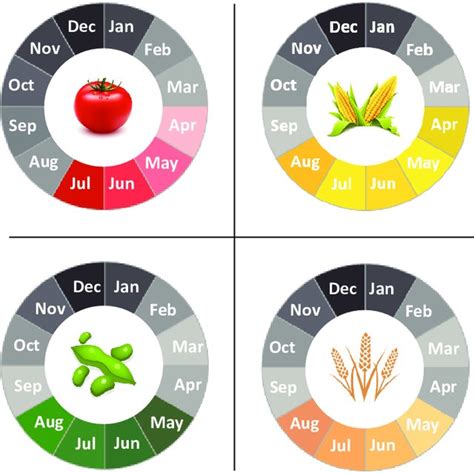 Growing Period Of The Four Considered Crops Download Scientific Diagram