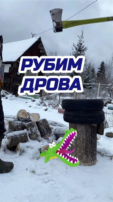 Дачные советы. – смотреть онлайн все 4 видео от Дачные советы. в ...