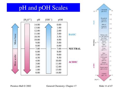 Ppt Chapter 17 Acids And Bases Powerpoint Presentation Free