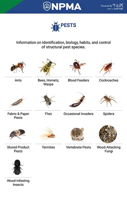 Pest Id App Benefits Technicians And Plants Quality Assurance And Food Safety