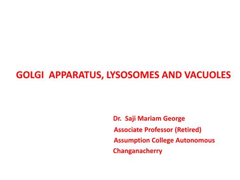 GOLGI APPARATUS, LYSOSOMES AND VACUOLES SMG | PPT