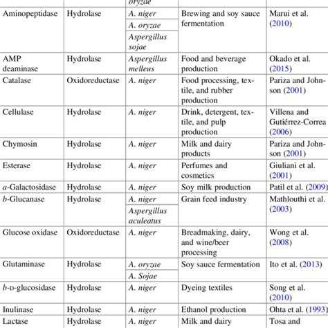 Examples Of Enzymes Produced By Aspergillus Species And Their