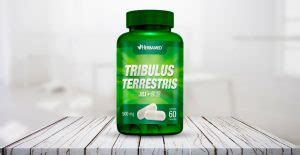 Tribulus Terrestris Para Que Serve Como Tomar E Benef Cios Al M Da