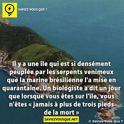 Il y a une île qui est si densément peuplée par les serpents venimeux