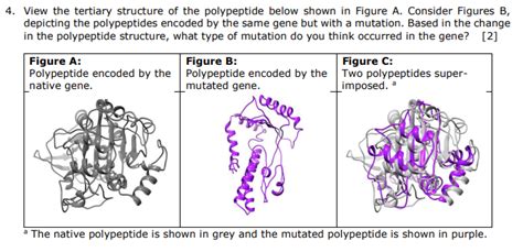 Solved View the tertiary structure of the polypeptide below | Chegg.com