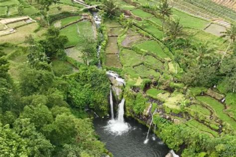 Keajaiban Alam Banyuwangi Yuk Eksplorasi Air Terjun Tlepak Dengan