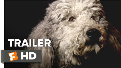 Heart of a Dog Official Trailer 1 (2015) - Documentary Movie HD - YouTube
