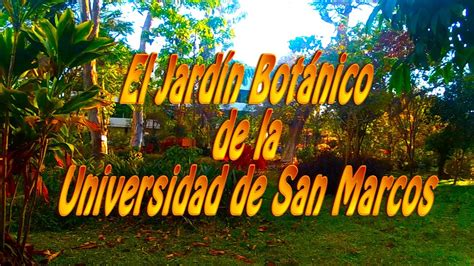 El Jardin Botanico De La Universidad San Marcos Botanic Garden Youtube