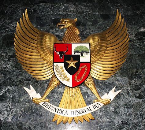 Terkenal Sebagai Lambang Negara And Simbol Pancasila 5 Fakta Burung