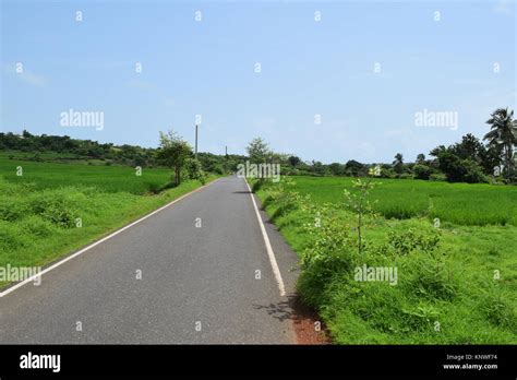 Amazing Greenery Hi Res Stock Photography And Images Alamy