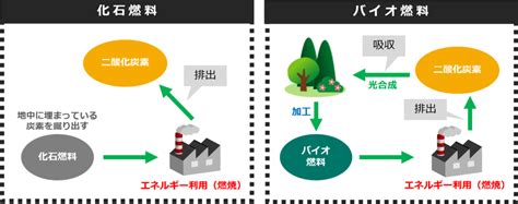 Saf燃料（航空燃料）とは？原料や作り方・価格と企業の取り組み事例 Spaceship Earth（スペースシップ・アース）｜sdgs