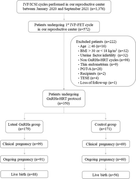 Study Flow Chart IVF In Vitro Fertilization ICSI Intracytoplasmic