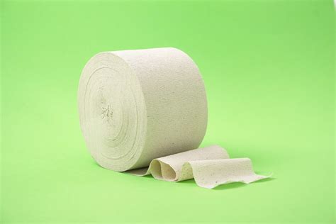 Biodegradable Toilet Paper Promotes Eco-Friendly Living