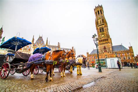 490 Horse Drawn Carriage In Bruges Stock Photos Pictures And Royalty