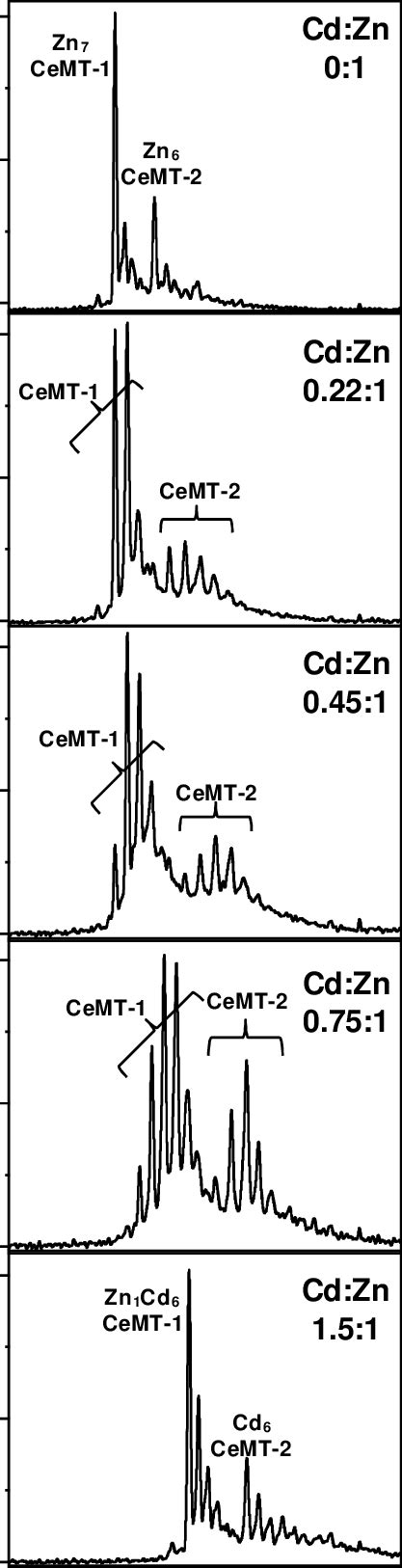 Figure S1 Esi Mass Spectra Following The Uptake Of Cd 2 Ions Between