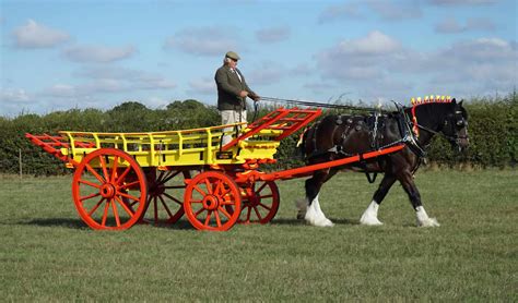 The Largest Horse Ever Recorded - Sampson - Animals Around The Globe