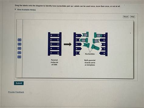 Microbiology Chapters 5, 7, 8, 12 Flashcards | Quizlet 
