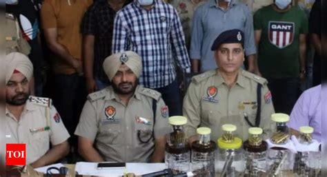 Police Arrest 16 Including 4 Gangsters In Amritsar Recover Weapons