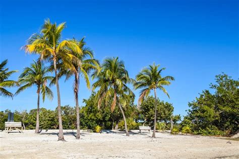 Best Beaches In Key Largo Florida