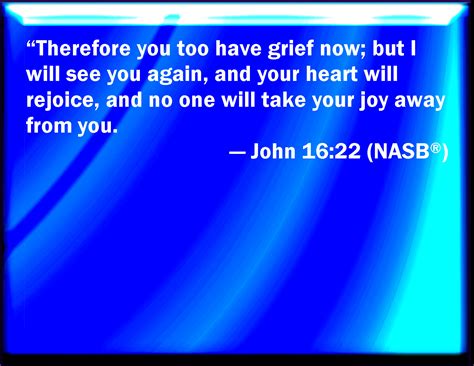 John 16:22 And you now therefore have sorrow: but I will see you again ...