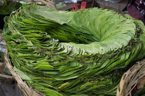 Chewing Betel Nut in Myanmar - Travel with Joanne