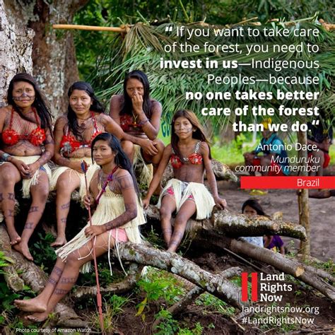 Indigenous Peoples And Local Communities Mobilise Around The World This