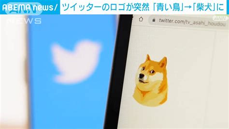 ツイッターのロゴ「青い鳥」→「柴犬」に変更 マスク氏「約束通り」