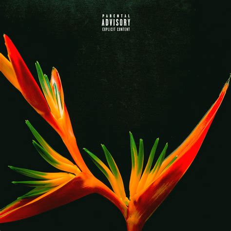 XM2 | Spotify
