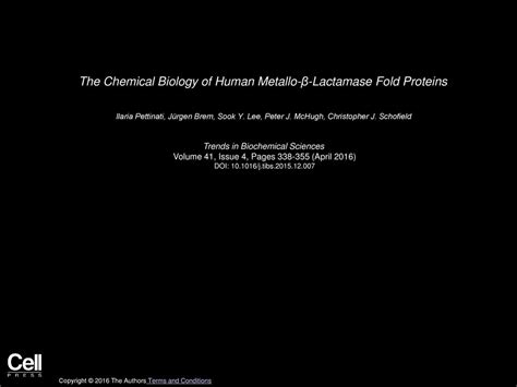 The Chemical Biology of Human Metallo β Lactamase Fold Proteins ppt